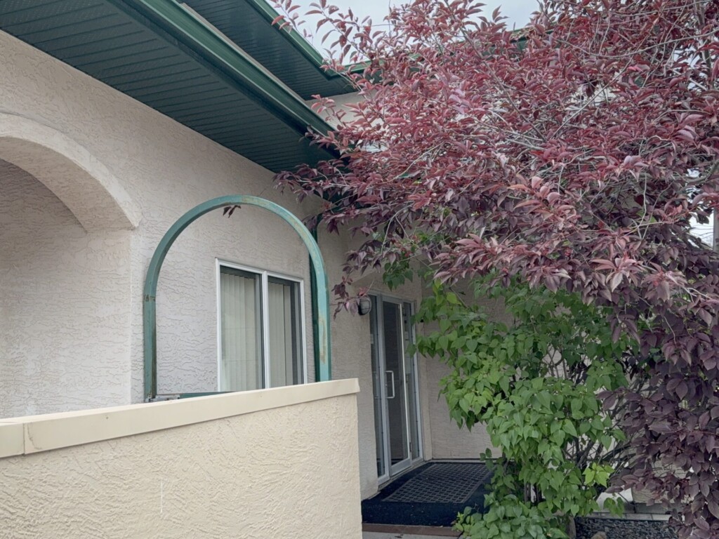 Building entrance surrounded by trees and greenery