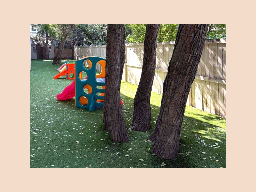 Mature evergreen trees shading the outdoor playground area